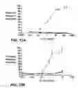 Fig. 12 - Nucleic acids encoding antagonists of interleukin-15