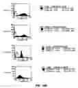 Fig. 19 - Nucleic acids encoding antagonists of interleukin-15