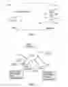 Fig. 02 - Multigene profiling in the kidney to tailor drug therapy