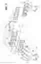 Fig. 03 - Exhaust manifold gasket