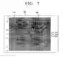 Fig. 08 - Mobile communication device for searching data based on rotation degree and a method thereof