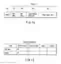 Fig. 49 - Meta data for moving picture