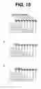 Fig. 15 - Computer-directed assembly of a polynucleotide encoding a target polypeptide