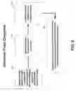 Fig. 06 - Determining relative expression for probe groups in probe arrays