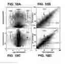 Fig. 11 - Determining relative expression for probe groups in probe arrays