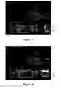 Fig. 08 - Personal video navigation system