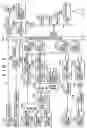 Fig. 10 - Electronic device controlling apparatus and electronic device controlling method