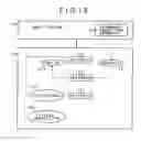 Fig. 20 - Storing apparatus and password control method