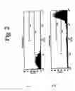 Fig. 03 - Transgenic aves producing human polyclonal antibodies