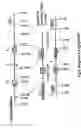 Fig. 07 - Transgenic aves producing human polyclonal antibodies