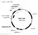 Fig. 02 - Method for identifying herbicidally active substances