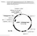 Fig. 03 - Method for identifying herbicidally active substances