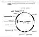 Fig. 04 - Method for identifying herbicidally active substances