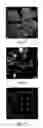 Fig. 03 - Selection of fungal resistant grape somatic embryos