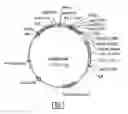 Fig. 02 - Method for improving corn starch extractability