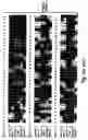 Fig. 05 - Plant starch composition