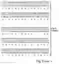 Fig. 11 - Plant starch composition