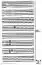 Fig. 29 - Plant starch composition