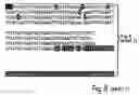 Fig. 35 - Plant starch composition