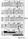 Fig. 61 - Plant starch composition