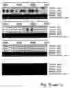 Fig. 64 - Plant starch composition