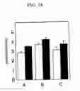 Fig. 15 - Root-specific expansin gene regulating root growth and obstacle-touching stress resistance in the plant