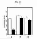 Fig. 16 - Root-specific expansin gene regulating root growth and obstacle-touching stress resistance in the plant