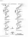 Fig. 02 - Gene participating in the synthesis of brassinosteroid