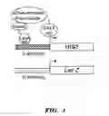 Fig. 02 - Receptors for hypersensitive response elicitors and uses thereof