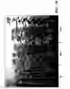 Fig. 23 - Receptors for hypersensitive response elicitors and uses thereof