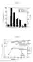 Fig. 03 - Carbonization and gasification of biomass and power generation system