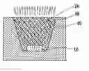 Fig. 01 - White light-emitting device
