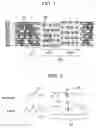 Fig. 02 - Optical reproducing method for optical medium with aligned prepit portion