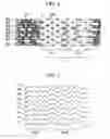 Fig. 05 - Optical reproducing method for optical medium with aligned prepit portion