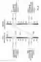Fig. 43 - Circulating switch