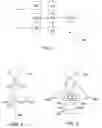 Fig. 02 - Method and system for pupil detection for security applications
