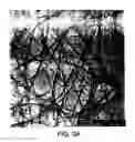 Fig. 04 - Method for forming a patterned array of single-wall carbon nanotubes
