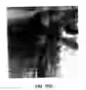 Fig. 16 - Method for forming a patterned array of single-wall carbon nanotubes