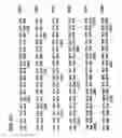Fig. 69 - Recombinant high molecular weight major outer membrane protein of Moraxella