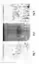 Fig. 05 - Sporoderm-broken germination-activated ganoderma lucidum spores for protection of dopaminergic neurons and treatment of Parkinson's disease