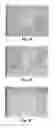 Fig. 09 - Sporoderm-broken germination-activated ganoderma lucidum spores for protection of dopaminergic neurons and treatment of Parkinson's disease