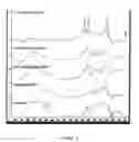 Fig. 06 - Carboxylated polysaccharides and method of preparation and use