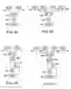 Fig. 09 - Method and apparatus for high throughput multiple radio sectorized wireless cell