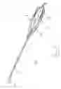 Fig. 05 - Implantable electrode, insertion tool for use therewith, and insertion method