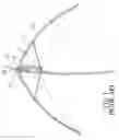 Fig. 02 - Multipurpose net frame