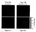 Fig. 09 - Toll-like receptor 9 modulators