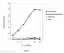 Fig. 02 - Mage C2 antigenic peptides and uses thereof
