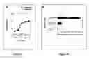 Fig. 03 - Mage C2 antigenic peptides and uses thereof