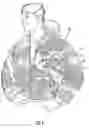 Fig. 02 - Camouflage article