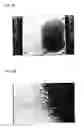 Fig. 11 - Heat exchanger for air and freezer device